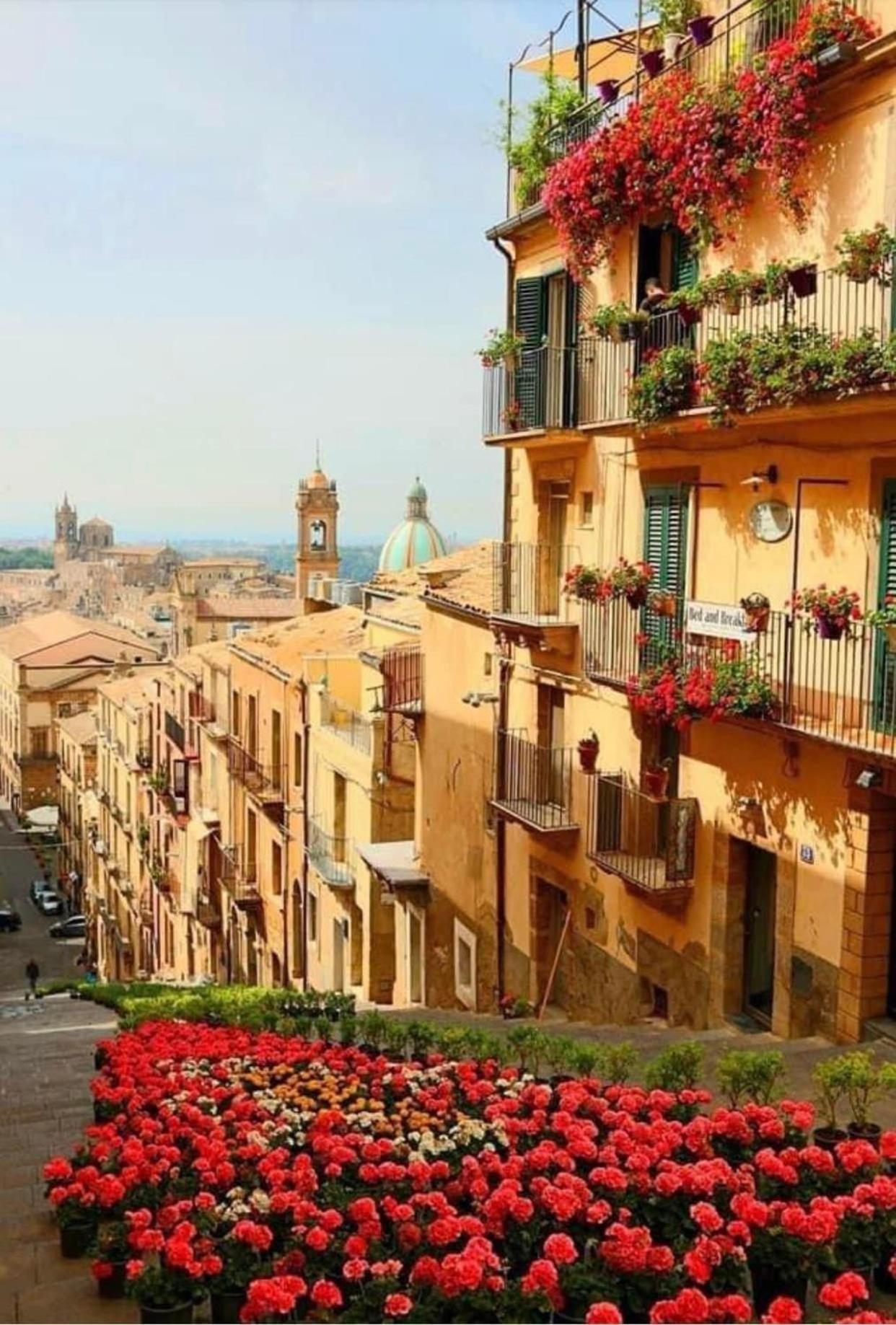 Casa Tipica Siciliana Patronale Home Bedandbreakfast Tremetrisoprailcielo Camere Con Vista, Colazione Interna In Terrazzo Panoramico Caltagirone Bagian luar foto