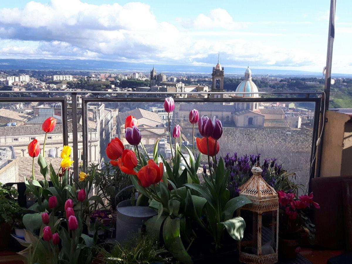 Casa Tipica Siciliana Patronale Home Bedandbreakfast Tremetrisoprailcielo Camere Con Vista, Colazione Interna In Terrazzo Panoramico Caltagirone Bagian luar foto